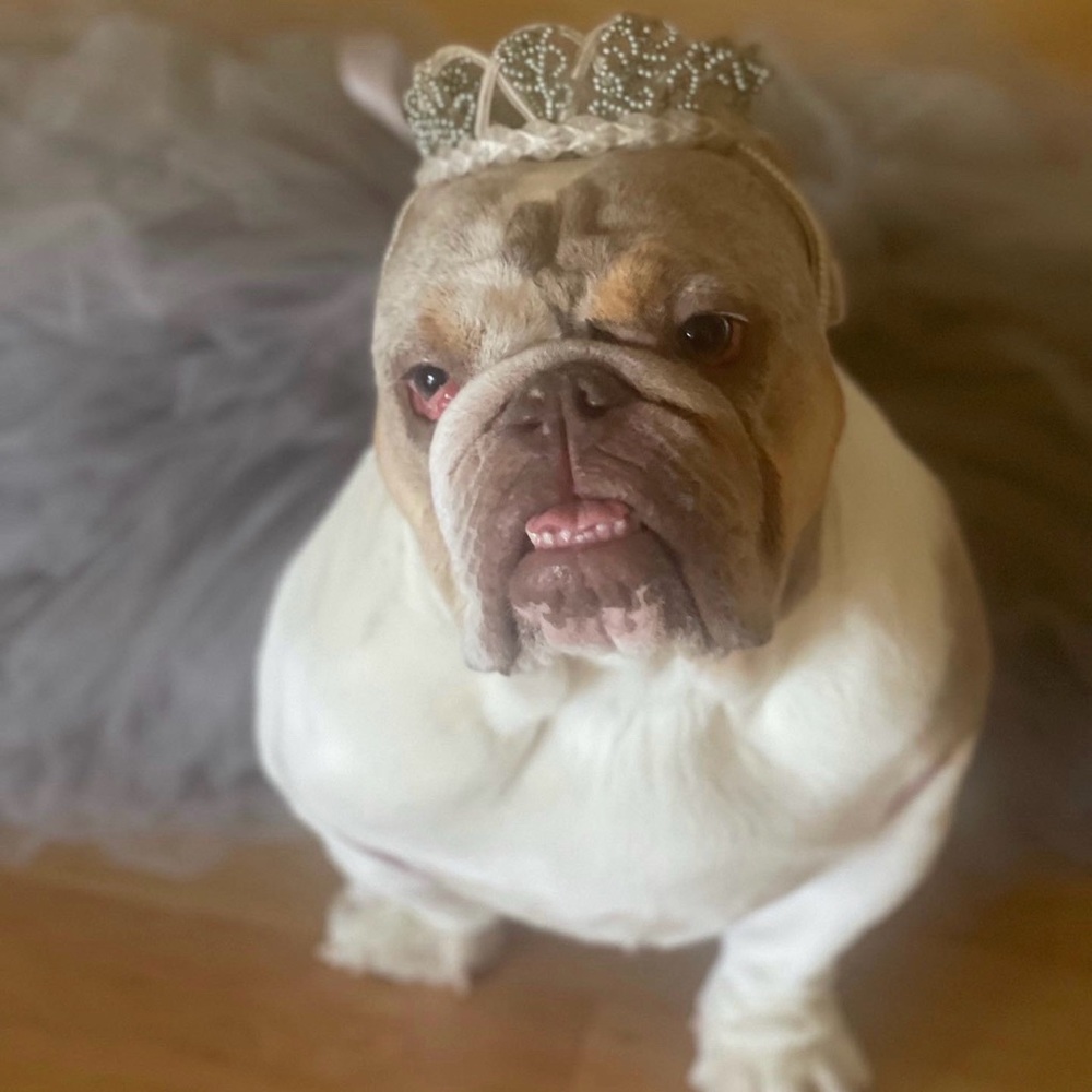Vintage Wedding crowns (3)👑